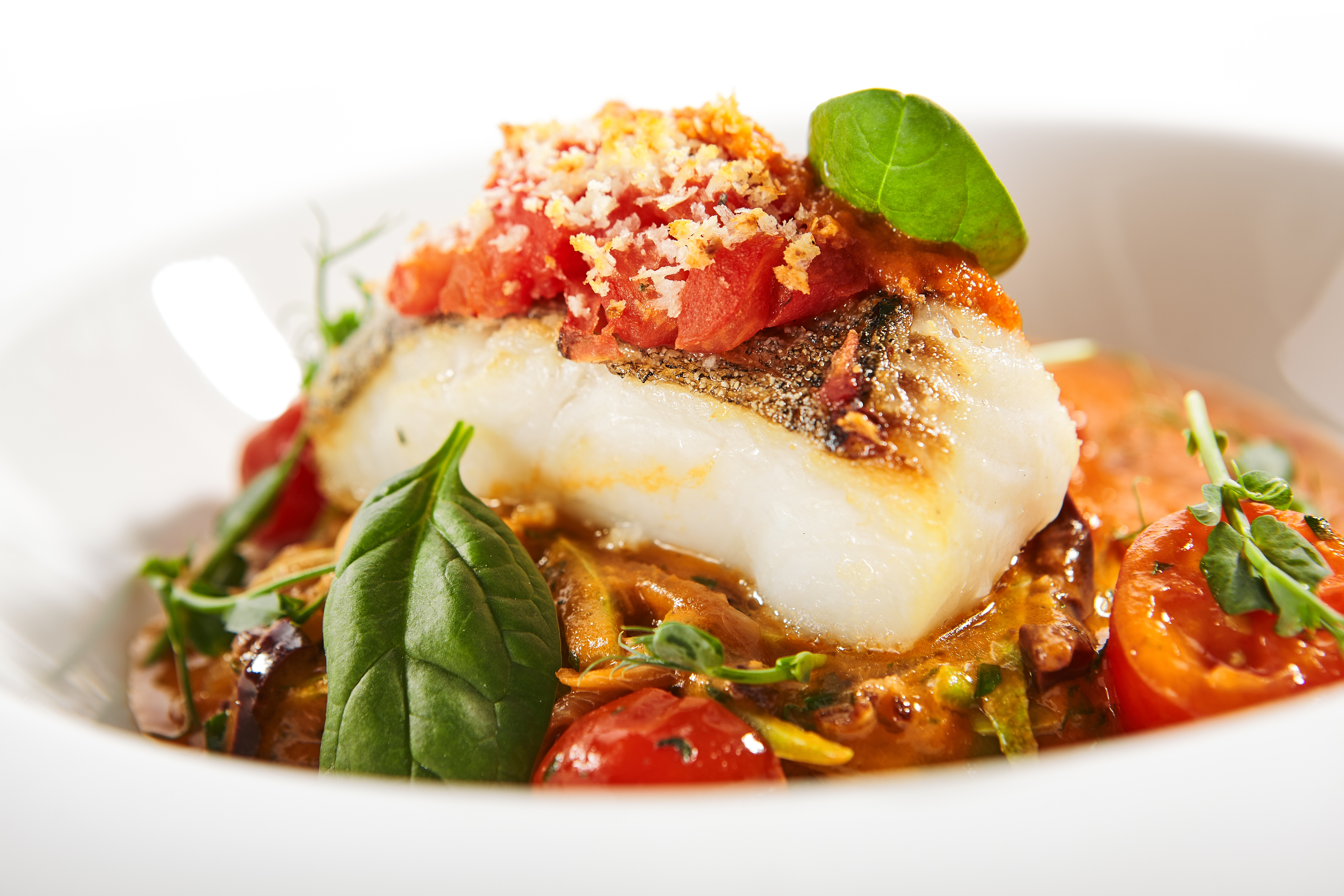 Heilbuttfilet auf mediterranem Tomatenragout Heilbuttfilet auf mediterranem Tomatenragout